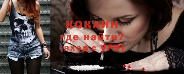 прущие грибы Ессентукская