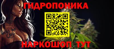 ECSTASY Абакан